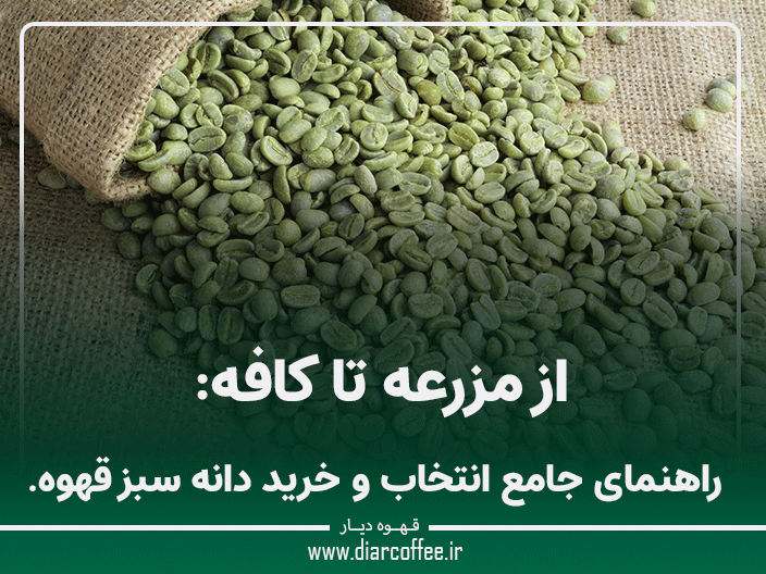 خرید دانه سبز قهوه