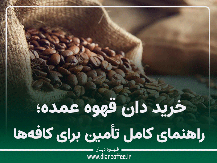 تأمین دان قهوه عمده؛ چگونه بهترین کیفیت را انتخاب کنیم؟