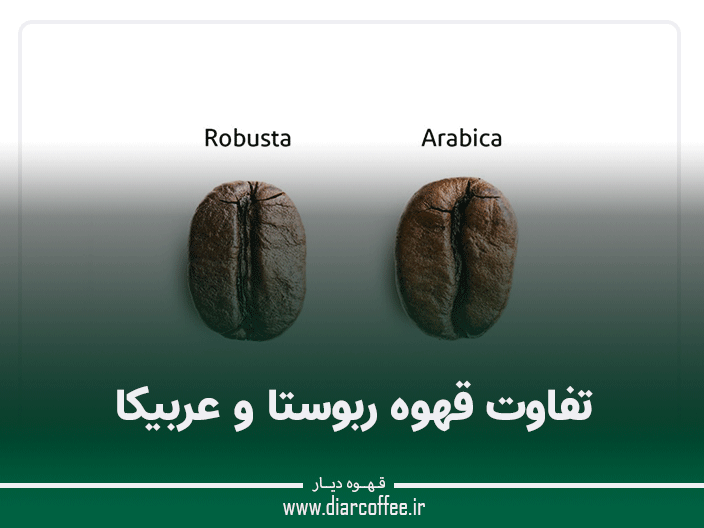 تفاوت قهوه ربوستا و عربیکا
