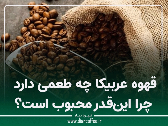 قهوه عربیکا چه طعمی دارد