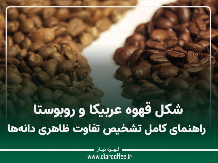 شکل قهوه عربیکا و روبوستا