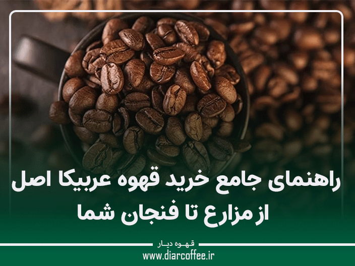 خرید قهوه عربیکا اصل