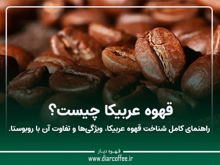 قهوه عربیکا چیست