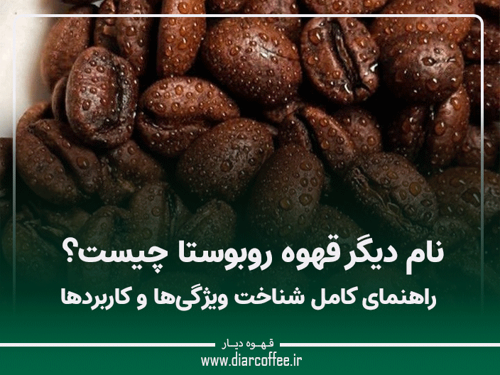 نام دیگر قهوه روبوستا چیست