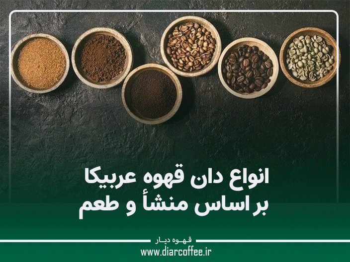 انواع دان قهوه عربیکا