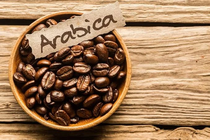 خرید قهوه عربیکا اصل